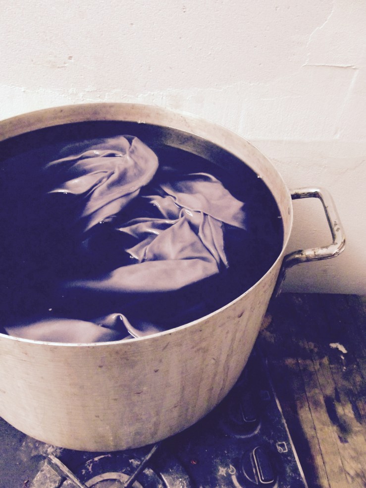 Teinture végétale bois de campêche